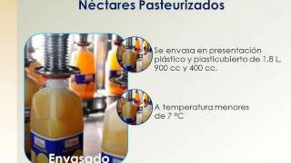 Elaboración de Néctares Pasteurizados [upl. by Buckden]