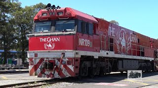 The Ghan at Keswick [upl. by Oralla18]