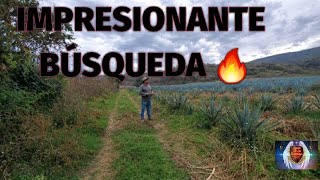 Impresionante búsqueda encontramos algo Inesperado que nos sorprendió a todos 😱 [upl. by Kcoj]