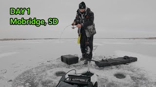 Ice Fishing Day 1  Mobridge SD  Annual WALLEYE Tournament [upl. by Nauqahs]