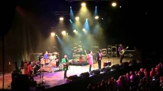 Showaddywaddy  Brighton 2014 [upl. by Gloria]