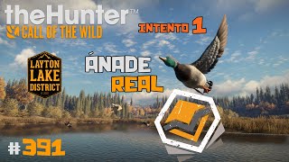 🦌theHunter Call of the Wild 391  EN BUSCA DEL DIAMANTE DE ÁNADE REAL INTENTO 1  Español [upl. by Grishilde]