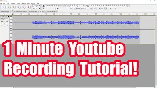 Recording Youtube Audio With Audacity Fast Tutorial [upl. by Neelhtak723]