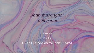 Dhammasaá¹…gaá¹‡Ä« pakaraá¹‡a lesson 4 English  14042024 [upl. by Norret766]