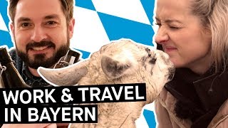 Work amp Travel in Deutschland – Wer macht sowas eigentlich  PULS Reportage [upl. by Redla646]