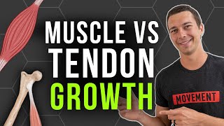 How to Build Tendon Strength vs Muscle Strength [upl. by Anauqahs]