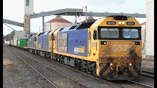 G519540523 on 7901V at Dunolly 051024 [upl. by Nehcterg59]