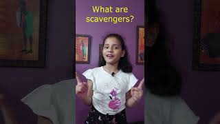 what are scavengers  मुर्दाखोर जानवर scavengers viral trending shortsfeed facts [upl. by Alexi]