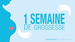 1 semaine de grossesse  Semaine 1 de grossesse  La grossesse semaine par semaine [upl. by Eerb648]