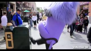 EVIL MINION ATTACKS TRASH CAN [upl. by Ssilb584]