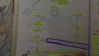 mechanism of action of sodium nitroprusside in hypertension [upl. by Nymzaj]