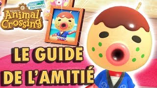 Augmenter l’Amitié et Obtenir la Photo d’un Habitant  Animal Crossing New Horizons [upl. by Atsiuqal176]