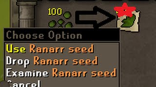 OldSchool Runescape Herb Farming Guide Plus loot from 100 Ranarr Seeds [upl. by Ekaterina795]