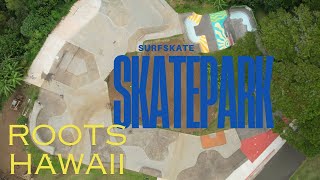 Roots Skatepark on a surfskate Big Island  Hawaii [upl. by Alain]