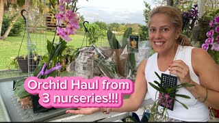 Orchid Nursery Shopping Haul  rare find and wishlist plants [upl. by Beaulieu80]