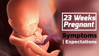 23 Weeks Pregnant Baby Position  Health Care Tips For Pregnant Women [upl. by Aisinut]