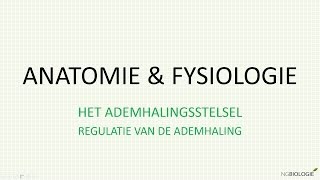 Regulatie van de ademhaling [upl. by Tloc]