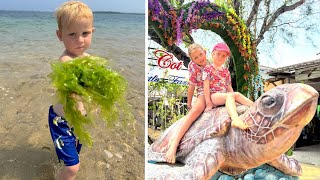 ONZE EERSTE DAGEN OP BALi amp ZEEWiERMONSTER iN ZEE   schildpadden opvang  Bellinga Vlog 3241 [upl. by Cantu]