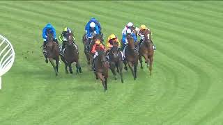 2020 George Ryder Stakes  Dreamforce [upl. by Thain]