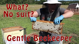 Beekeeping without a BEE SUIT Yes It can be done [upl. by Einnor773]