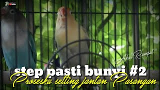 CARAKU SETTING LOVEBIRD JANTAN PASANGAN PASTI BUNYI [upl. by Aicemat]