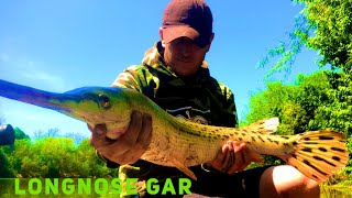 Longnose Gar and Spotted Gar Fishing 101 [upl. by Saidel]