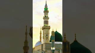 मैं देखता ही रहूं बस तुम्हारे रोजे को  islamic shorts madina naatsharif viral islamicvideo [upl. by Anuala]