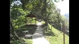 Cascada de la Granada Coatepec Veracruz [upl. by Matazzoni]