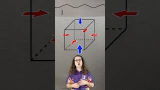 Buoyant Force Explained Why Objects Float [upl. by Methuselah]