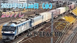 20231220 EF66 110号機が訓練機として岡山へムド輸送 [upl. by Caril631]