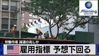 米雇用指標 予想下回る 労働市場 減速の兆しか【モーサテ】（2024年2月1日） [upl. by Gabriel]