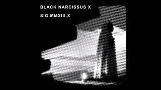 Black Narcissus X  Angu Ayah  Black Narcissus X 2013   Signals Records [upl. by Anyaled289]