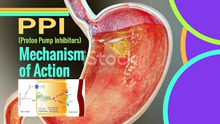 PPI Mechanism of Action  Proton pump inhibitors mechanism of action [upl. by Adnyl]