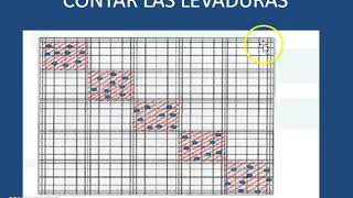 CONTAJE DE LEVADURAS EN CAMARA DE NEUBAUER Y DETERMINACION DE VIABILIDAD [upl. by Nnahsal512]