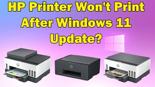 Printer Wont Print After Windows 11 [upl. by Aneekat]