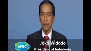 Joko Widodo President of Indonesia at the APEC CEO Summit [upl. by Ecilayram]