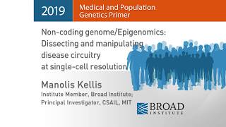 MPG Primer Noncoding genomeEpigenomics Dissecting and manipulating disease circuitry 2019 [upl. by Notsyrb]