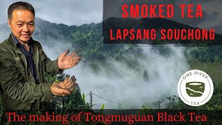 SMOKED TEA LAPSANG SOUCHONG Finding Traditional Tongmuguan Black Tea [upl. by Trudnak902]