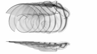 Vortex Particle Simulation of A 4Bladed Rotor In Forward Flight [upl. by Neelak]