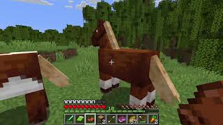 HO ADDOMESTICATO UN CAVALLO  BerliCraft ep 4 [upl. by Eenaj]