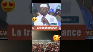 Ousmane Sonko La transhumance [upl. by Lottie]