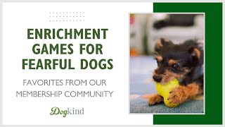 Enrichment games for fearful dogs [upl. by Eelak]