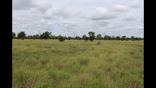 quotSwaylandsquot Blackall Qld Marketed by Bruce Douglas of Ray White Rural Queensland [upl. by Konstantine]