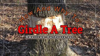 How And Why To Girdle A Tree Tree Girdling [upl. by Anyrb]