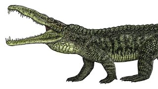 Smilosuchus One Of The Largest Amphibious Predators Before The Dinosaurs [upl. by Yretsym]