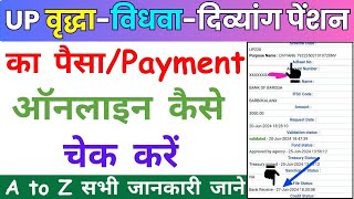 UP Pension Payment Status Online Kaise Kare 2024  Mobile se Pension Ka Paisa Kaise Dekhe [upl. by Airotahs]