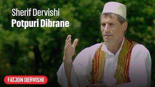 Sherif Dervishi  Potpuri dibrane [upl. by Akemal]