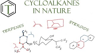 Cycloalkanes in Nature  Organic Chemistry Lessons [upl. by Helmer280]