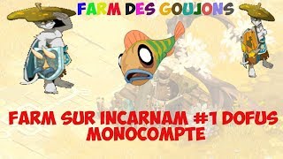 FARM A INCARNAM 1  LES GOUJONS  DOFUS  MONOCOMPTE [upl. by Adnim]