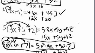 Distributive Property of Multiplication [upl. by Narine272]